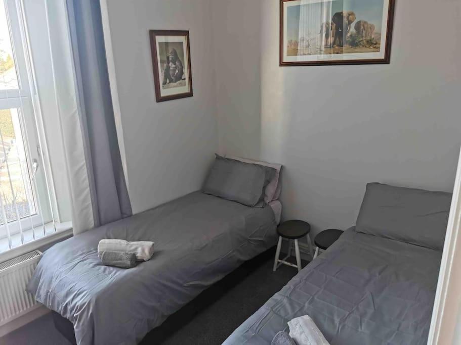 Number 7 Torquay Stunning Sea Views Apartment Luaran gambar