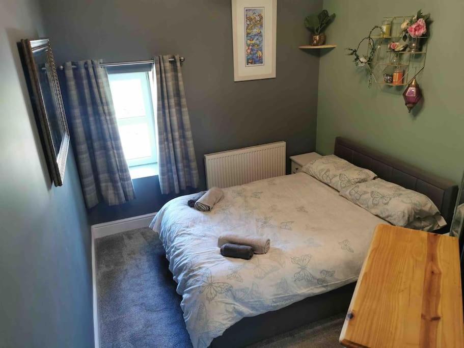 Number 7 Torquay Stunning Sea Views Apartment Luaran gambar